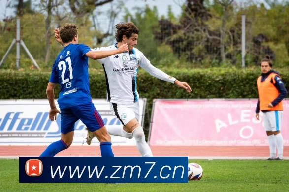 熊猫体育在线登录入口平台生态图