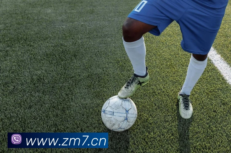 熊猫体育在线登录入口APP 封面图